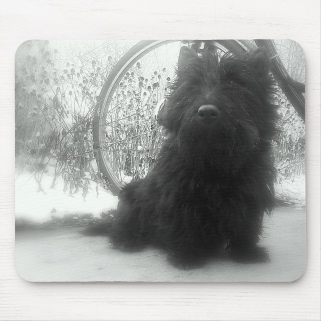 Winter Scottish Terrier Mouse Pad (Front)