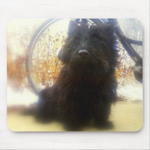 Winter Scottish Terrier Mouse Pad
