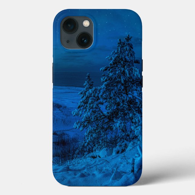 Winter sea coast in moonlight Case-Mate iPhone case (Back)