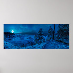 Winter sea coast in moonlight poster
