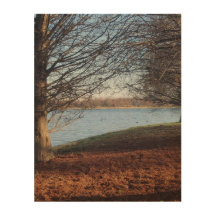 Winter Serenity by the Lake 