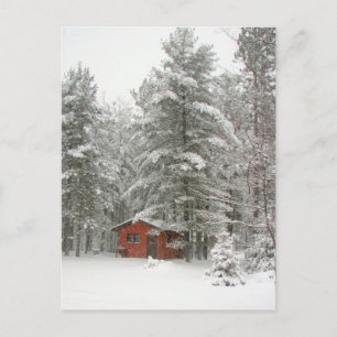 Winter Shed Postcard