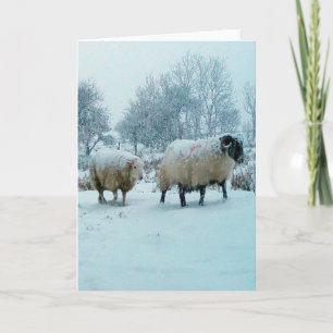 Winter Sheep in Snow Scene Customisable Card