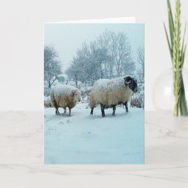 Winter Sheep in Snow Scene Customisable Card (Front)