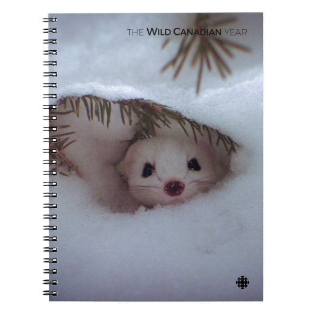 Winter - Short-Tailed Weasel Spiral Notebook (Front)
