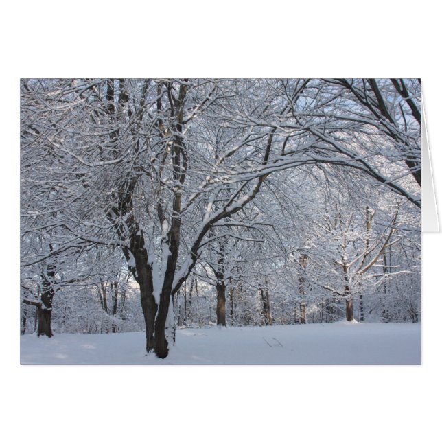 Winter Shroud (Front Horizontal)