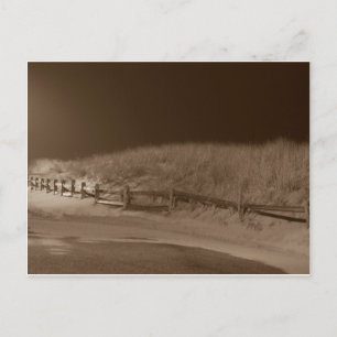 Winter Silence Postcard