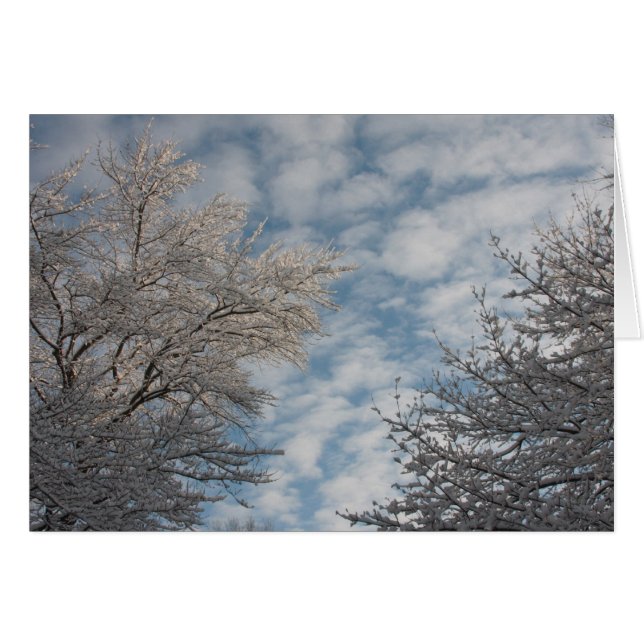 Winter Sky (Front Horizontal)