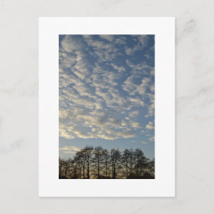 Winter Sky Postcard