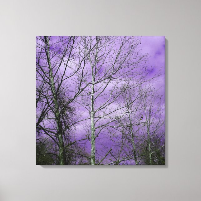 Winter sky with bare trees canvas print (Front)