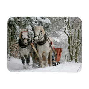 Winter Sleigh Ride Color Image Magnet