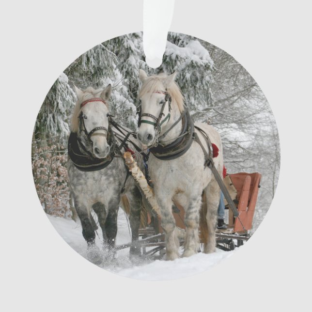 Winter Sleigh Ride Colour Image Ornament (Front)