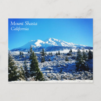 Winter Snow at Mount Shasta, CA Postcard