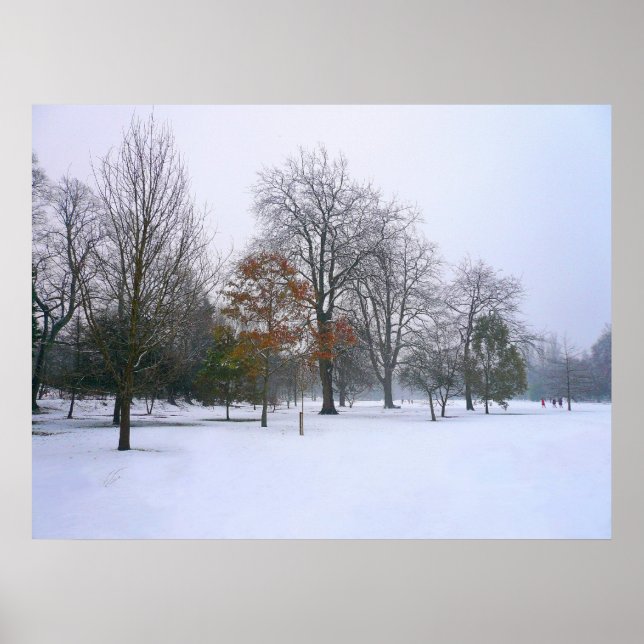 Winter Snow, Bute Park, Cardiff, Wales Poster (Front)