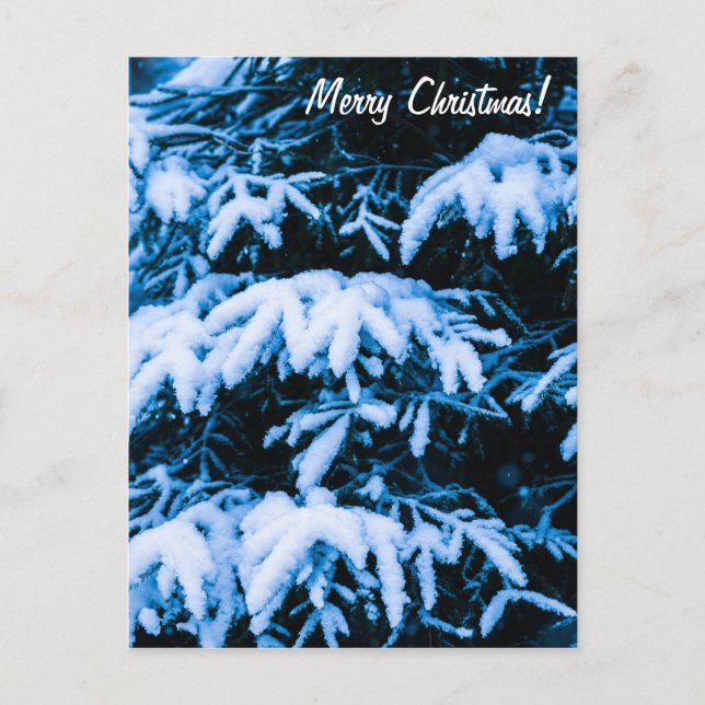 Winter Snow Christmas Tree Holiday Postcard (Front)