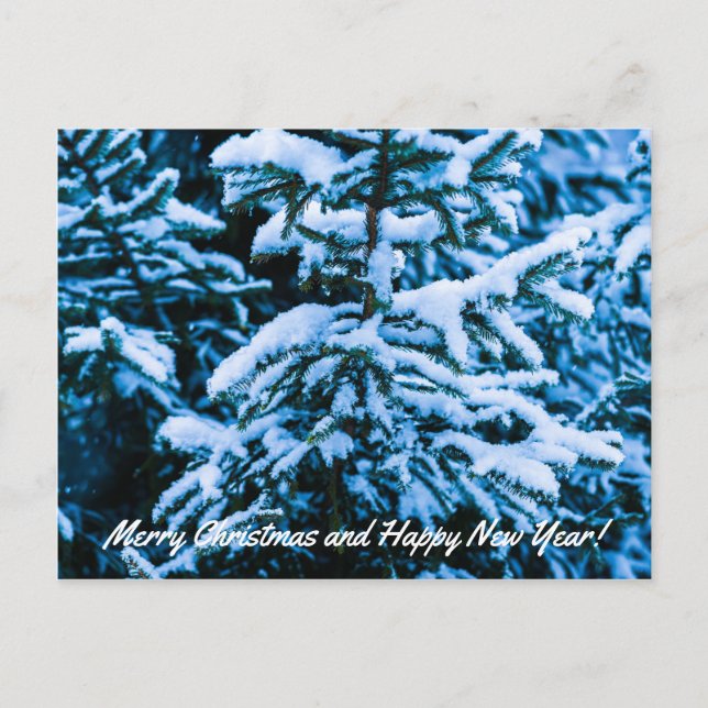 Winter Snow Christmas Tree Holiday Postcard (Front)