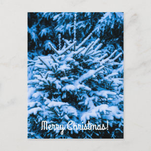 Winter Snow Christmas Tree Holiday Postcard