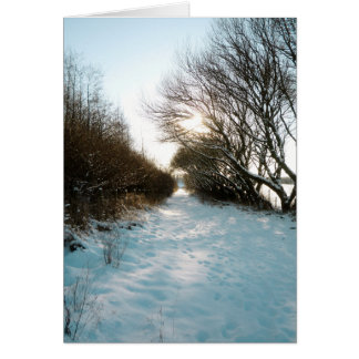 Winter Snow Covered English Countryside Path