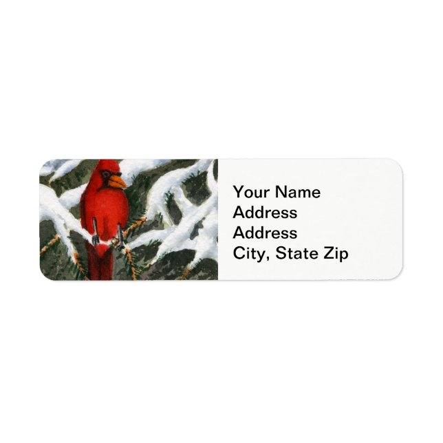 Winter snow covered trees cardinal red bird (Front)