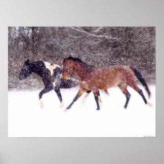 Winter Snow Horses in Barn Poster
