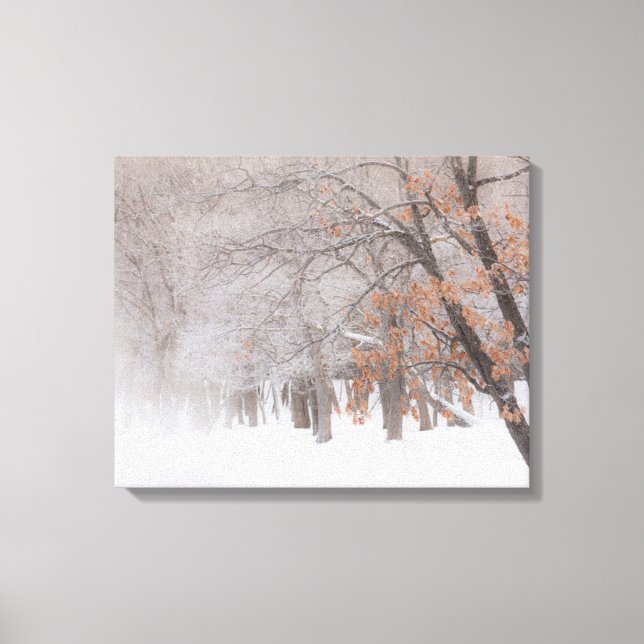 Winter Snow | Lake Kussharo Canvas Print (Front)