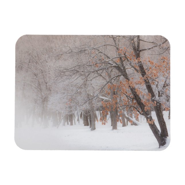 Winter Snow | Lake Kussharo Magnet (Horizontal)