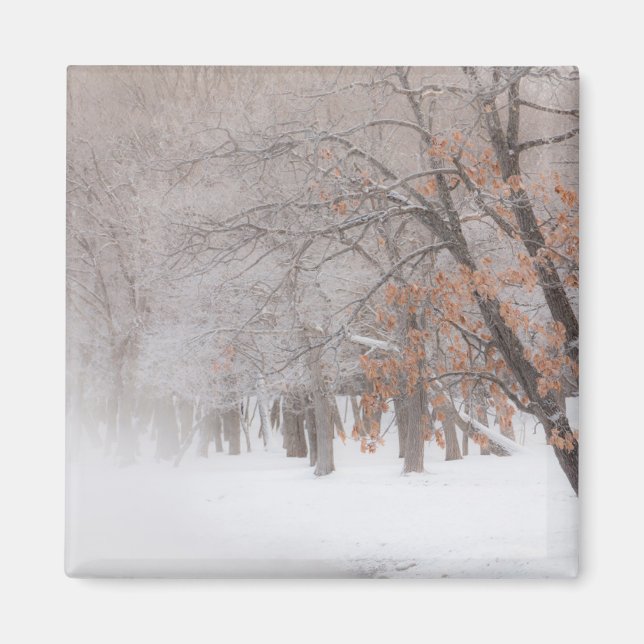 Winter Snow | Lake Kussharo Magnet (Front)