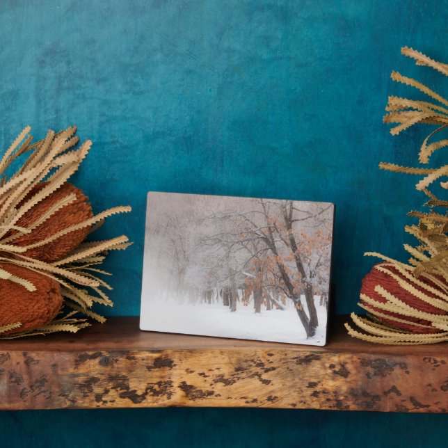 Winter Snow | Lake Kussharo Plaque (Side)