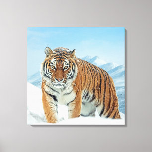 Winter Snow Nature Photo Tiger Mountains Canvas Print
