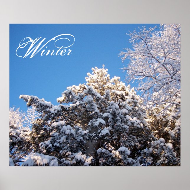 Winter Snow on Treetops Poster (Front)