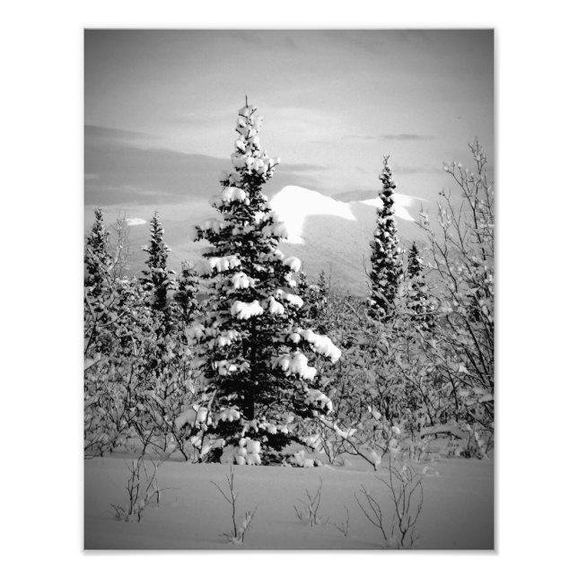Winter Snow Photo Print (Front)