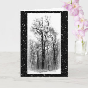 Winter Snow & Poplar Tree Blank Greeting Card