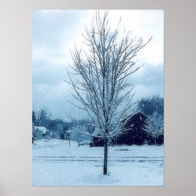 Winter Snow Poster (Front)