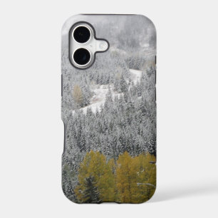 Winter Snow Scene