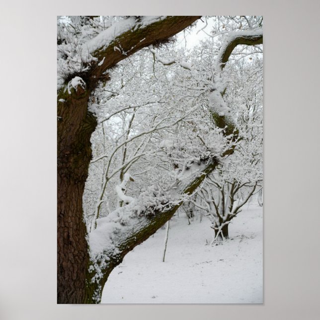 Winter Snow Scene Poster Print (Front)