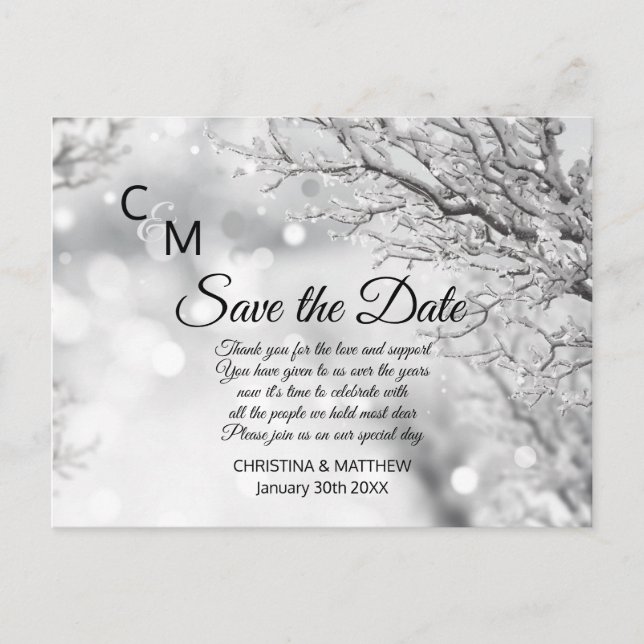 Winter Snow Snowflakes Wedding SAVE THE DATE Announcement Postcard (Front)