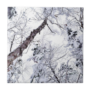 Winter Snow Trees Forest 1 Tile