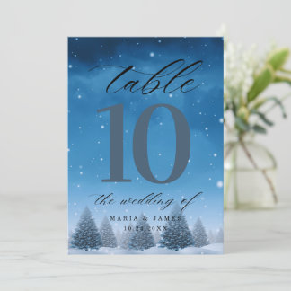 Winter Snow Wedding Table Number