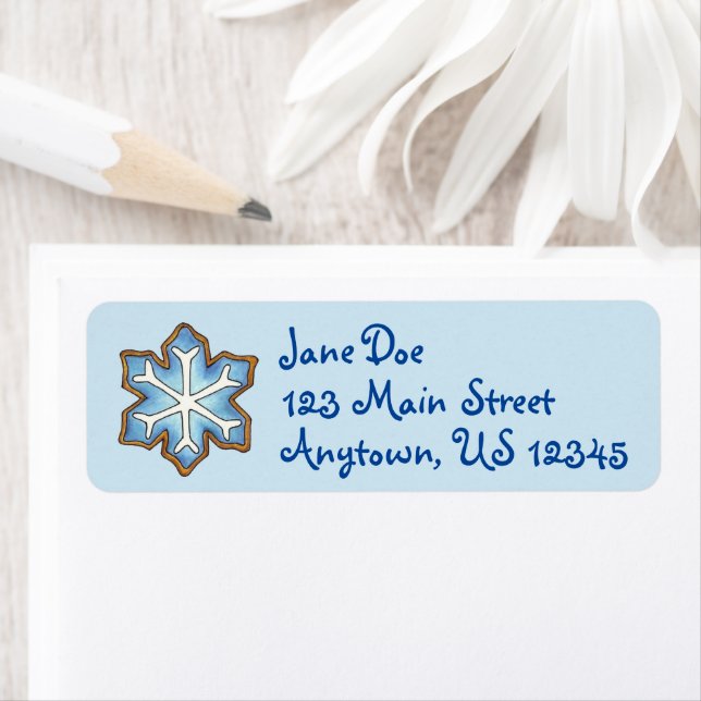 Winter Snowflake Cookie Christmas Hanukkah Holiday (Insitu)