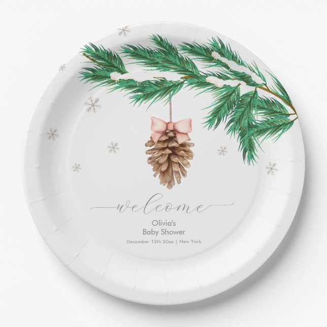 Winter Snowflake Pine cone Baby Shower Welcome Paper Plate (Front)