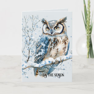 Winter Snowflakes Blue Owl Christmas Card
