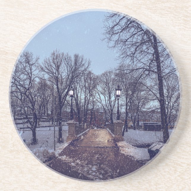Winter snowy city park in the evening coaster (Front)