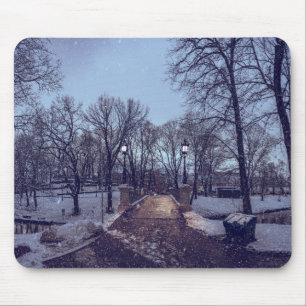 Winter snowy city park in the evening mouse pad