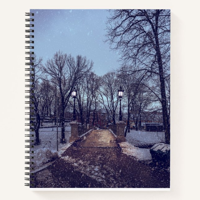 Winter snowy city park in the evening notebook (Front)