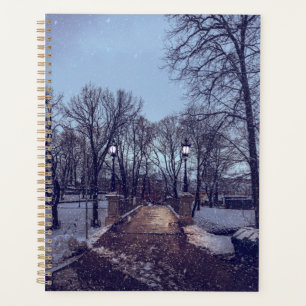 Winter snowy city park in the evening planner