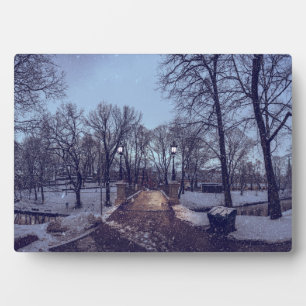 Winter snowy city park in the evening plaque
