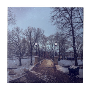 Winter snowy city park in the evening tile