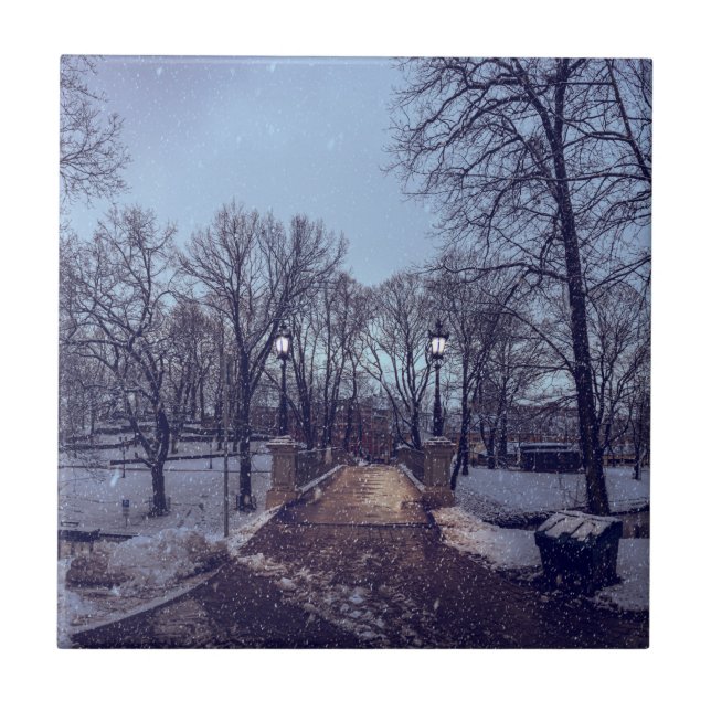 Winter snowy city park in the evening tile (Front)
