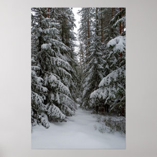 Winter Snowy Evergreen Forest Customise Poster