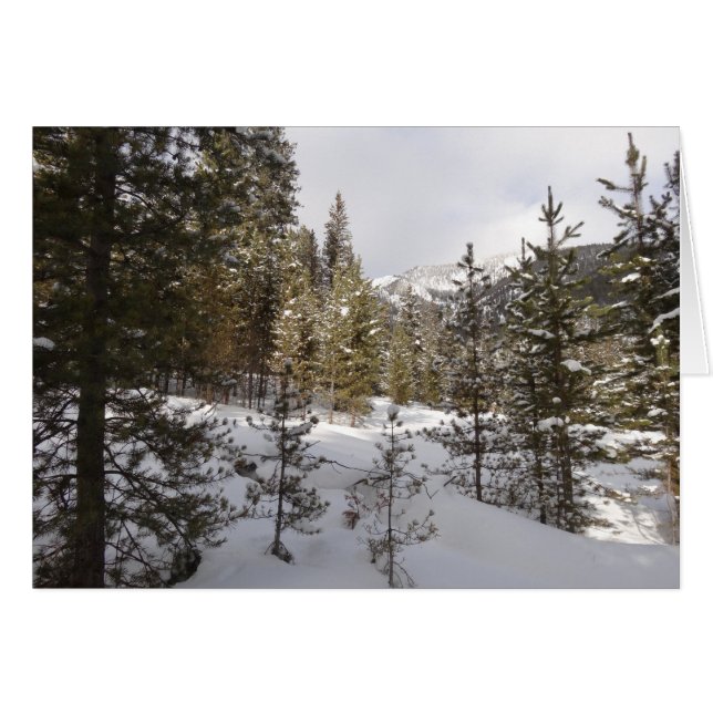 Winter Snowy Mountain Scene in Montana (Front Horizontal)